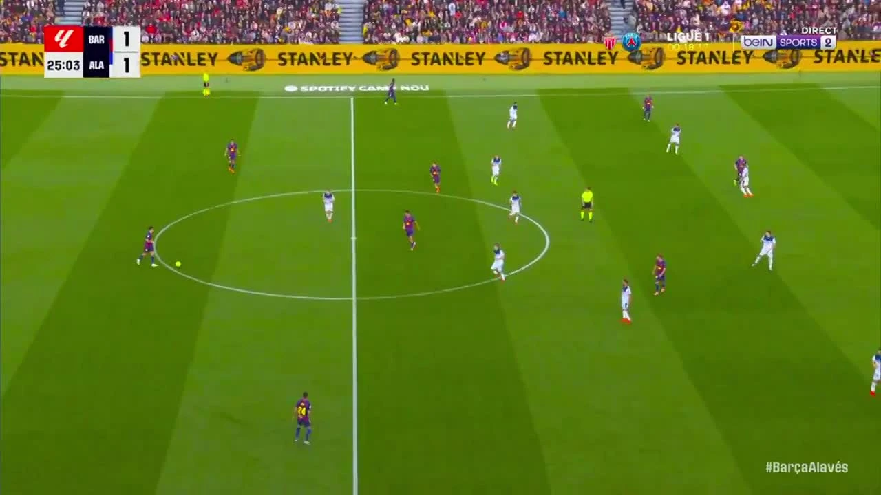 zaslepka skrotu video