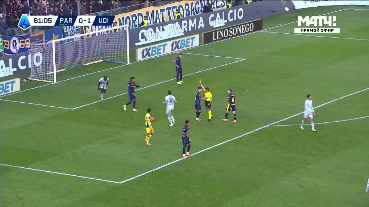 zaslepka skrotu video