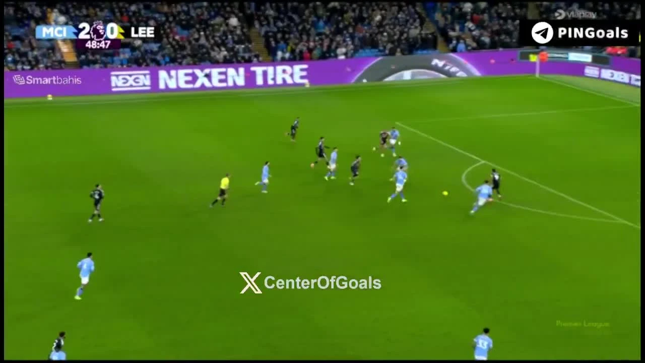 zaslepka skrotu video