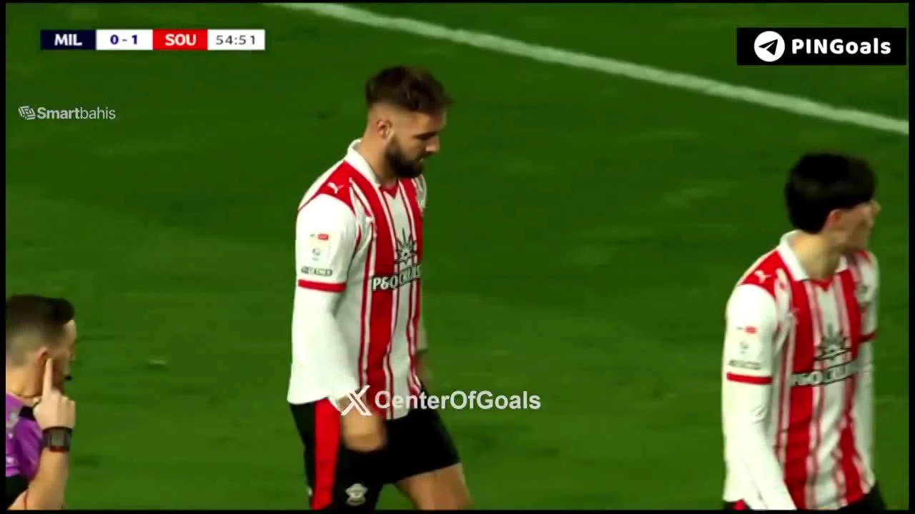 zaslepka skrotu video