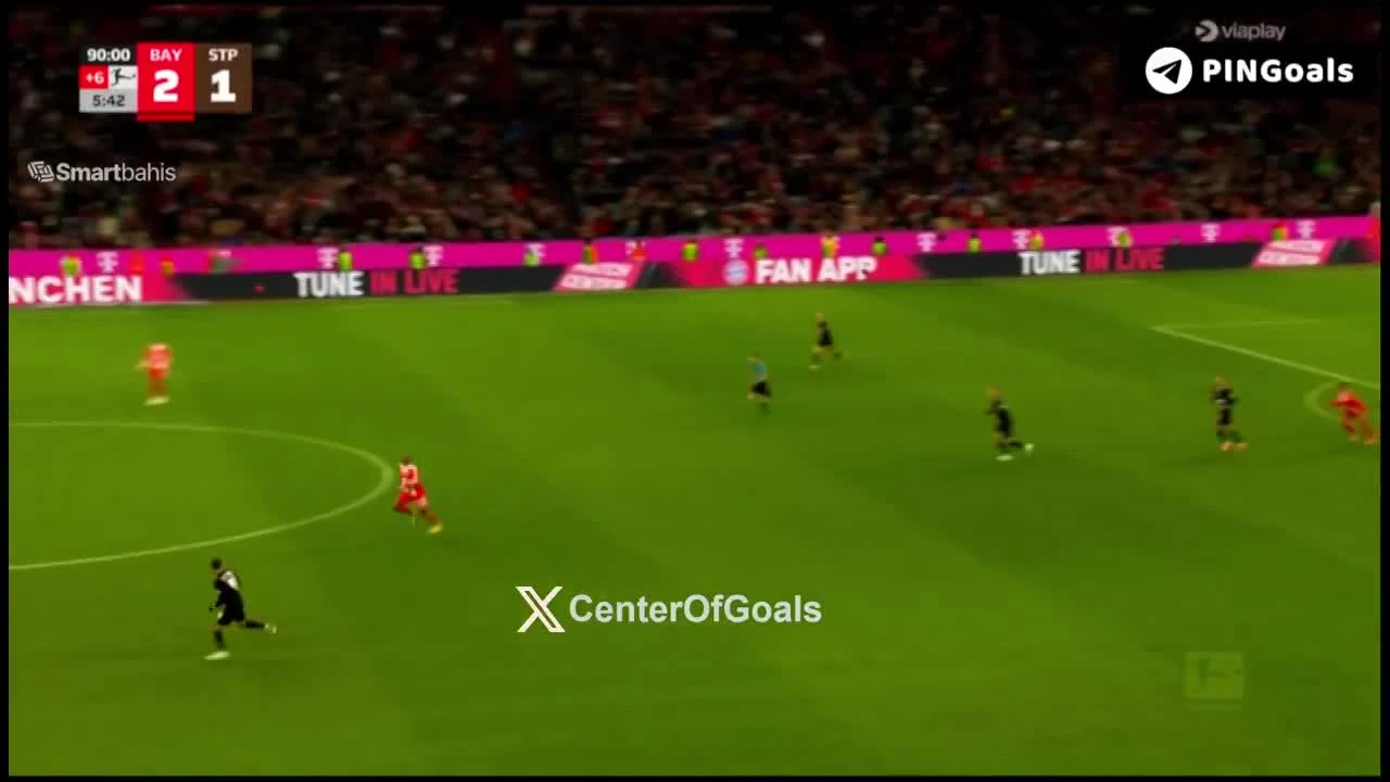 zaslepka skrotu video