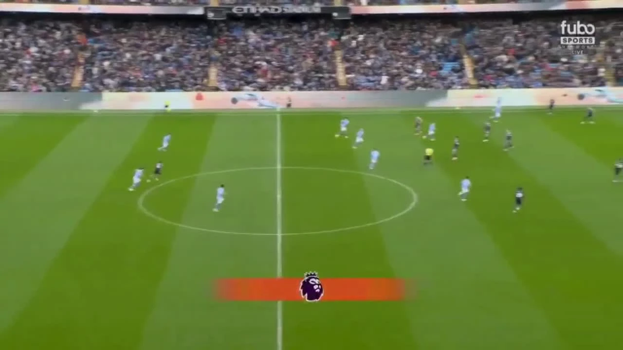 zaslepka skrotu video