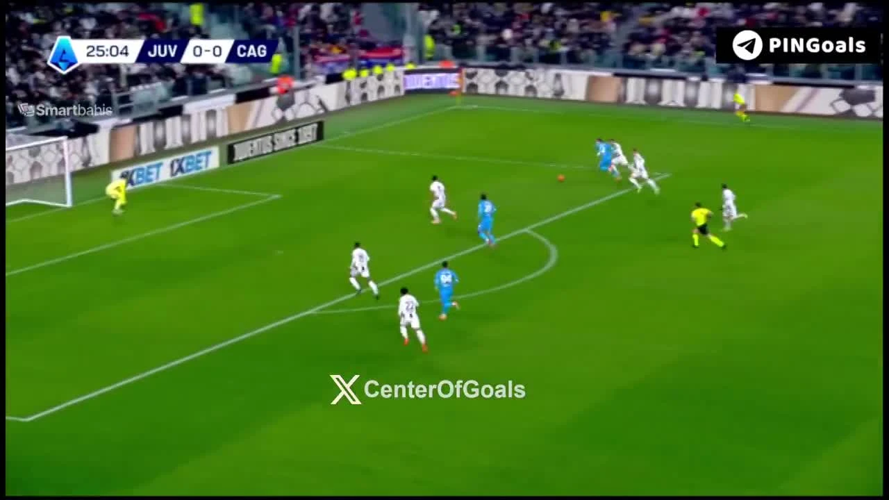 zaslepka skrotu video