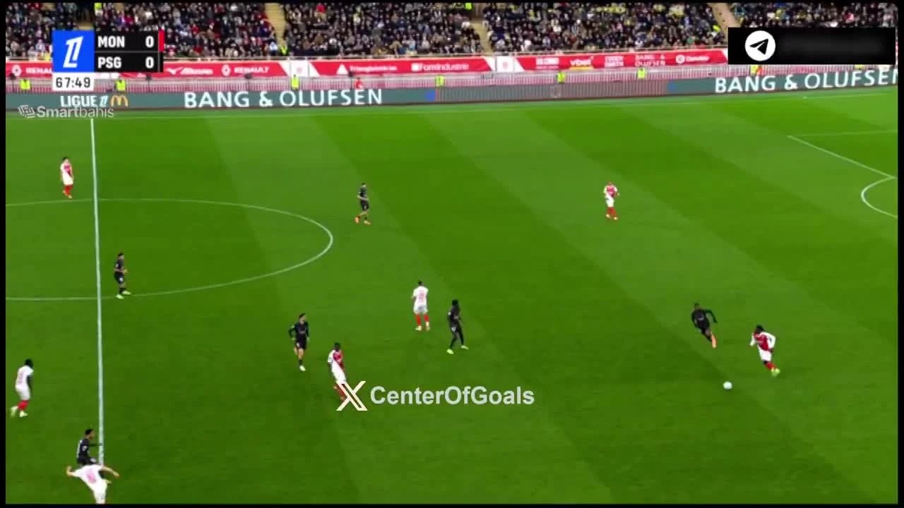 zaslepka skrotu video