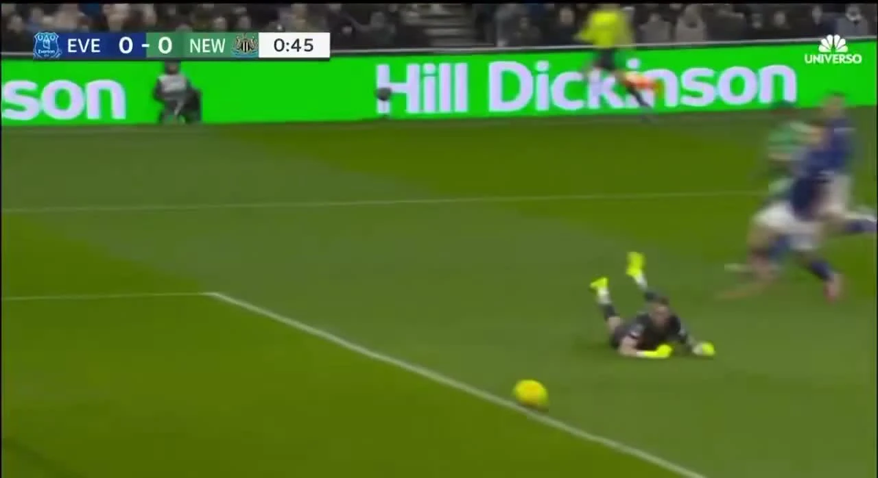 zaslepka skrotu video