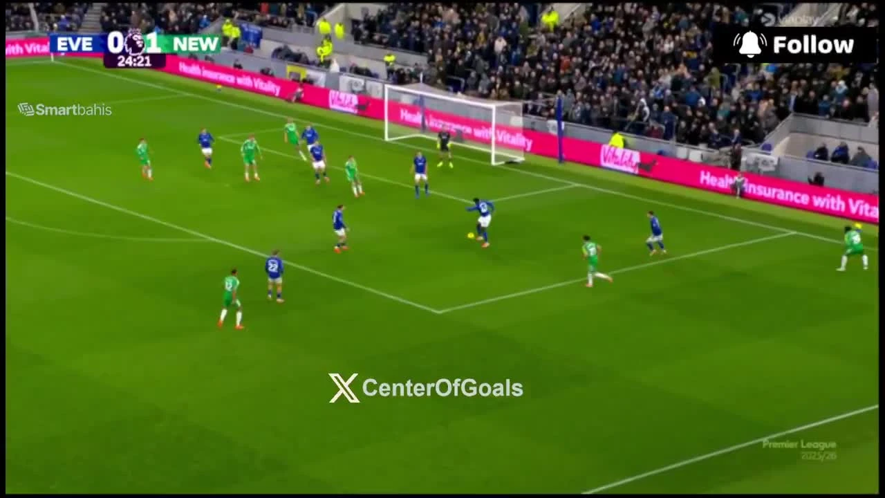 zaslepka skrotu video