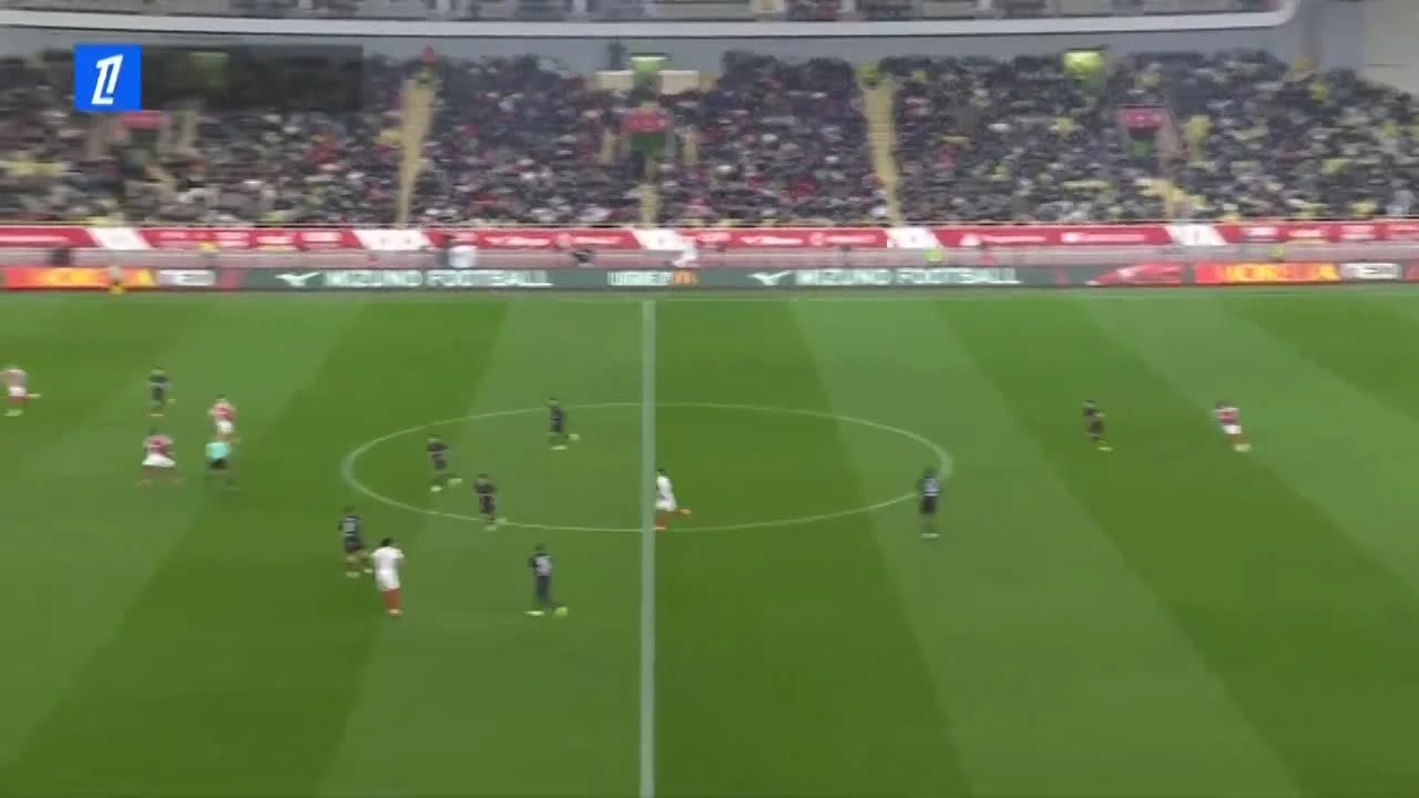 zaslepka skrotu video