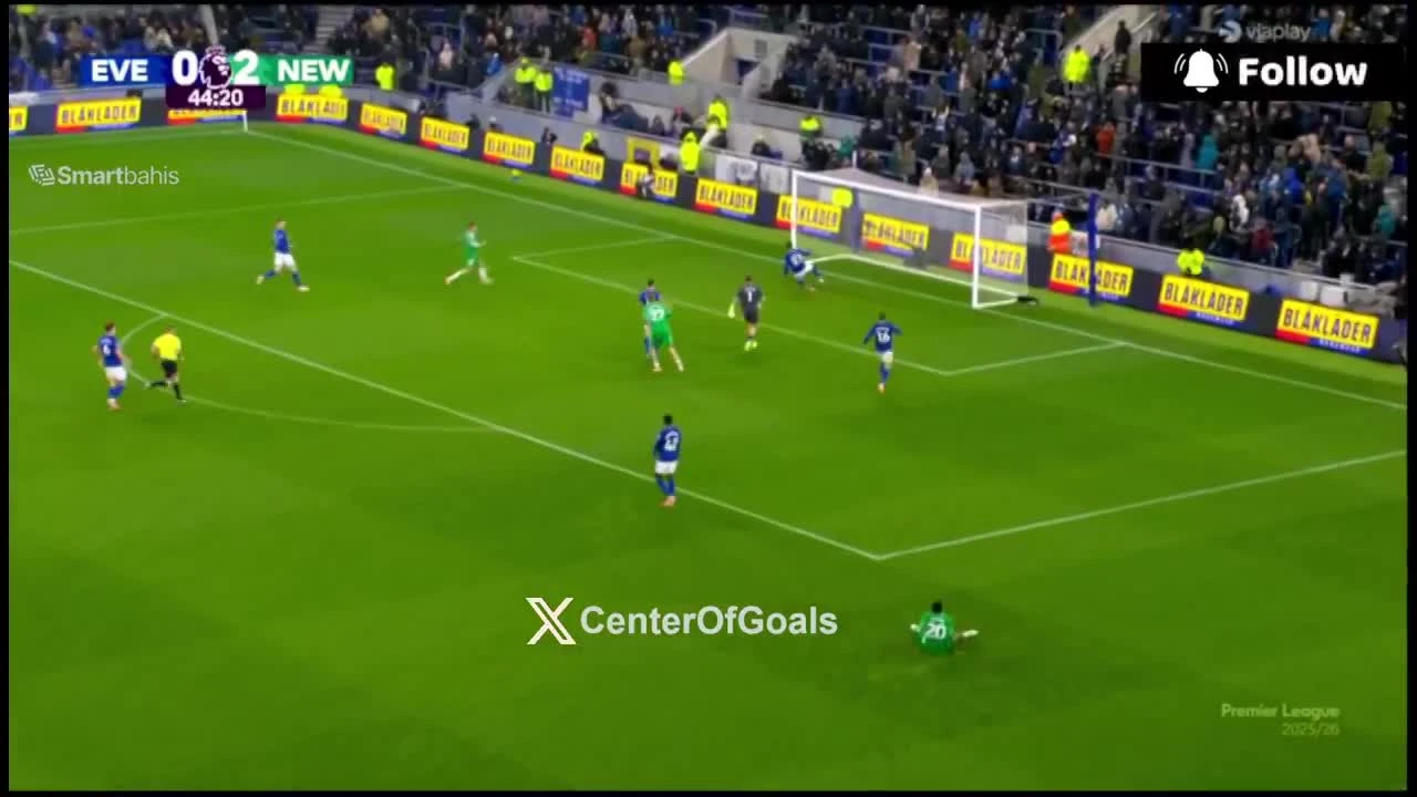 zaslepka skrotu video