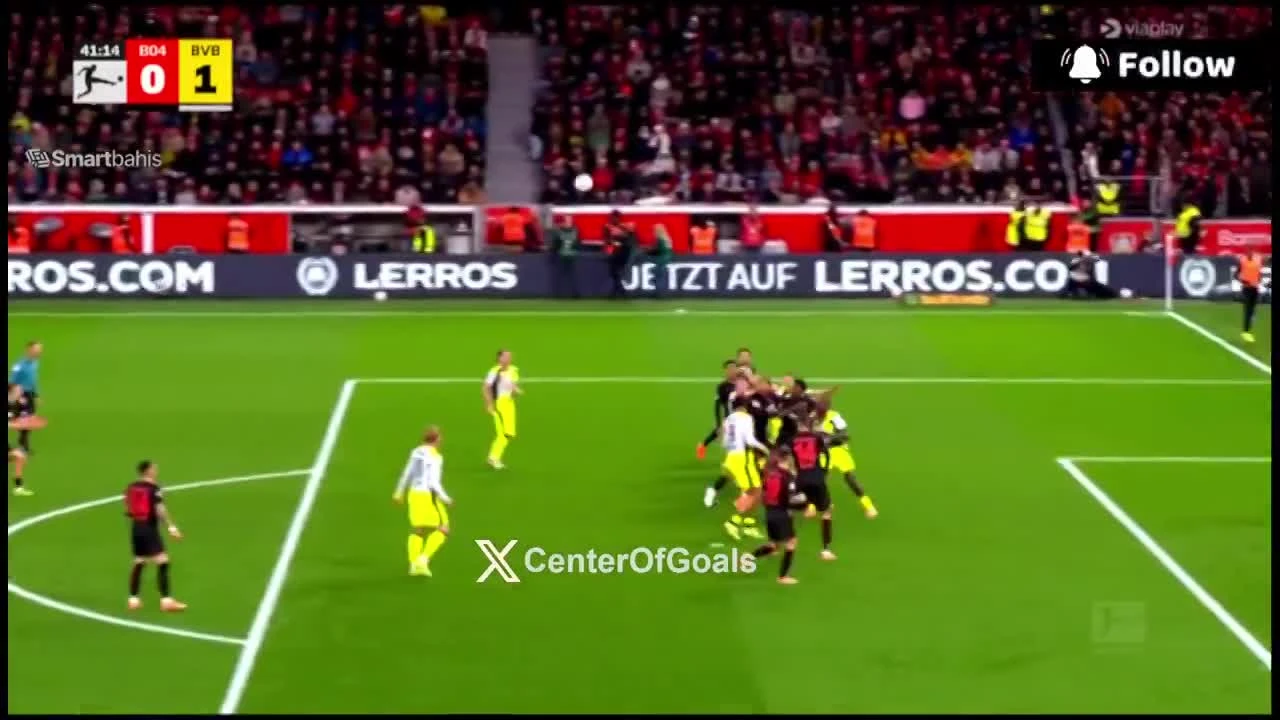 zaslepka skrotu video