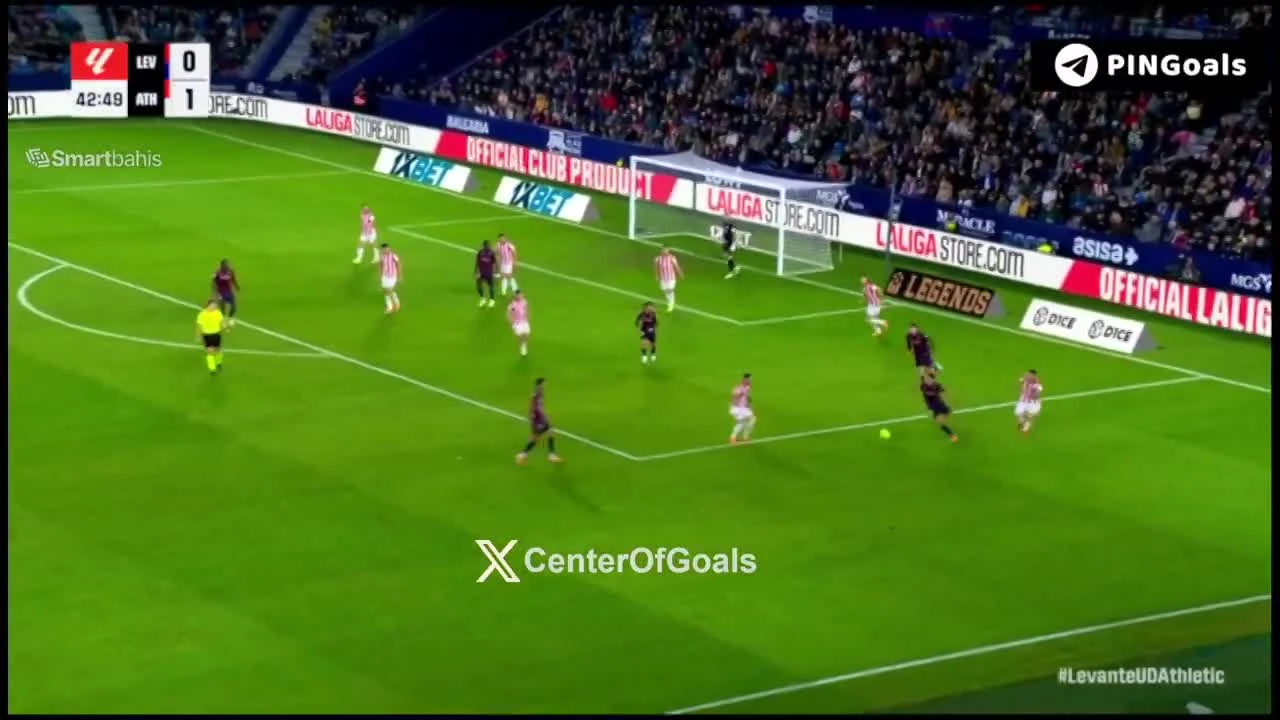 zaslepka skrotu video