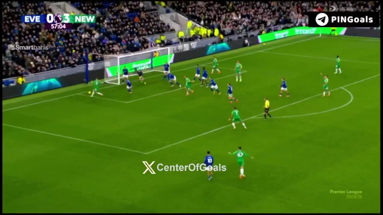 zaslepka skrotu video