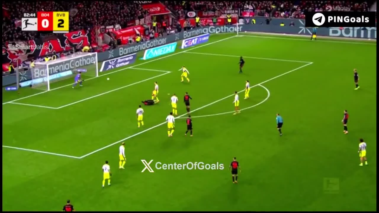 zaslepka skrotu video