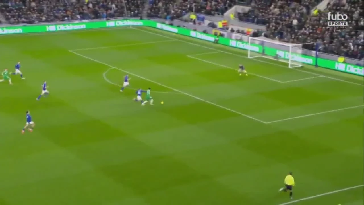 zaslepka skrotu video