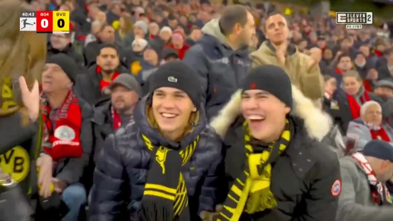 zaslepka skrotu video