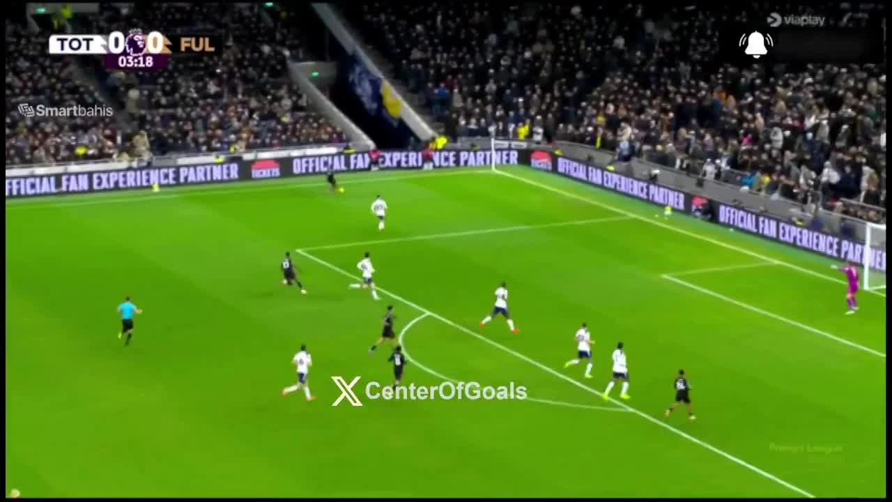 zaslepka skrotu video