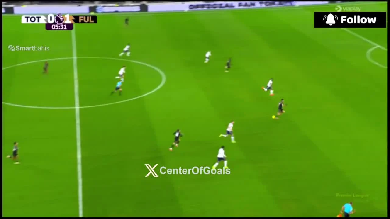 zaslepka skrotu video