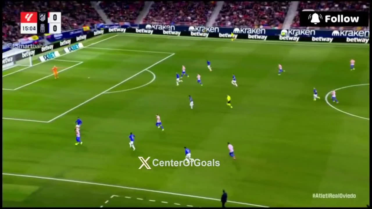 zaslepka skrotu video