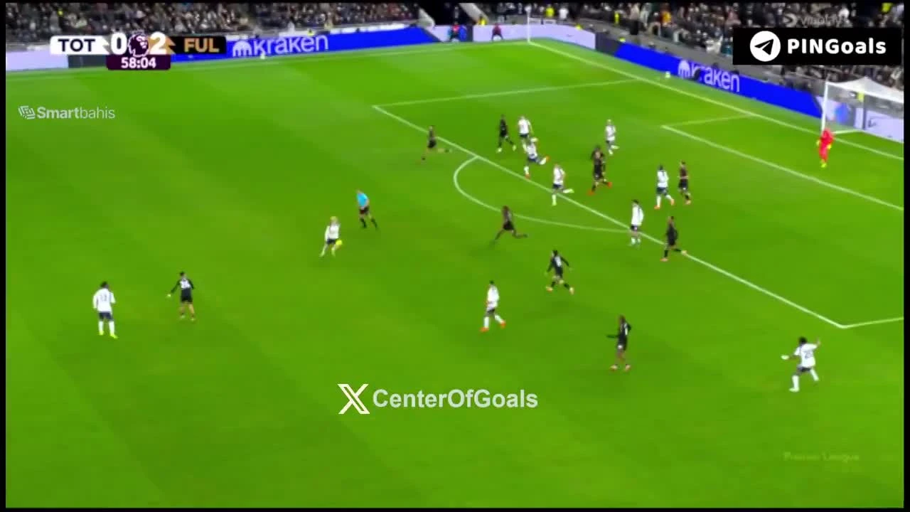 zaslepka skrotu video