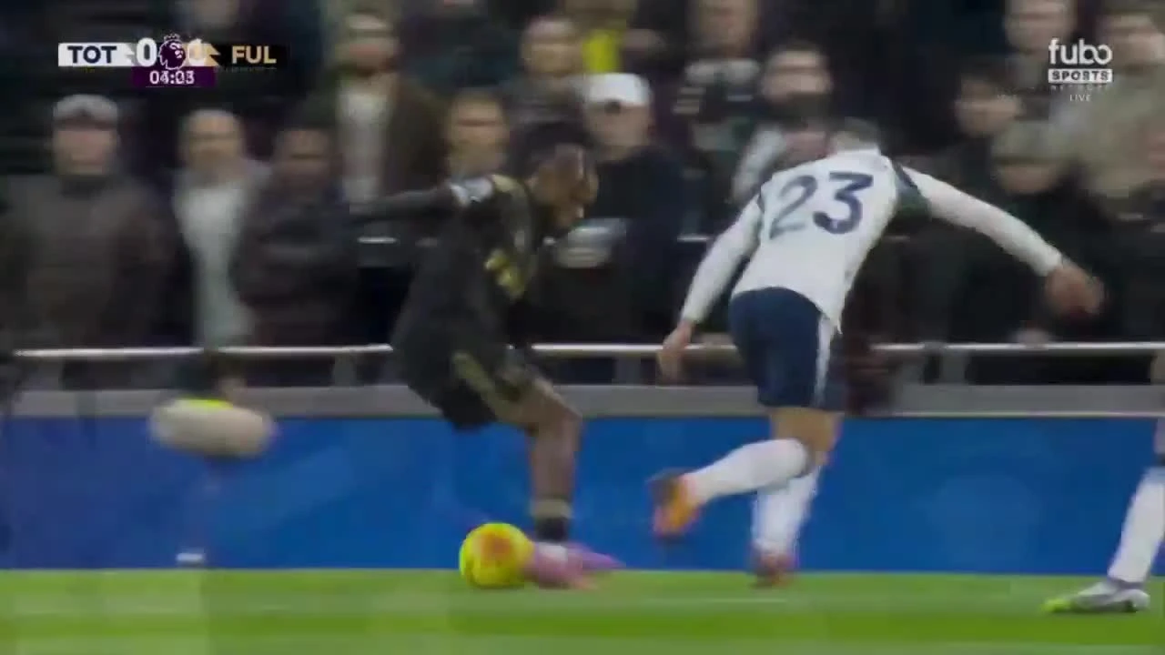 zaslepka skrotu video