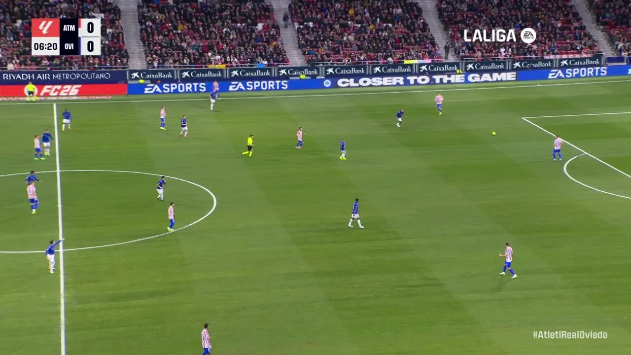 zaslepka skrotu video