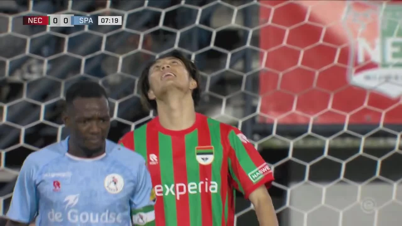 zaslepka skrotu video