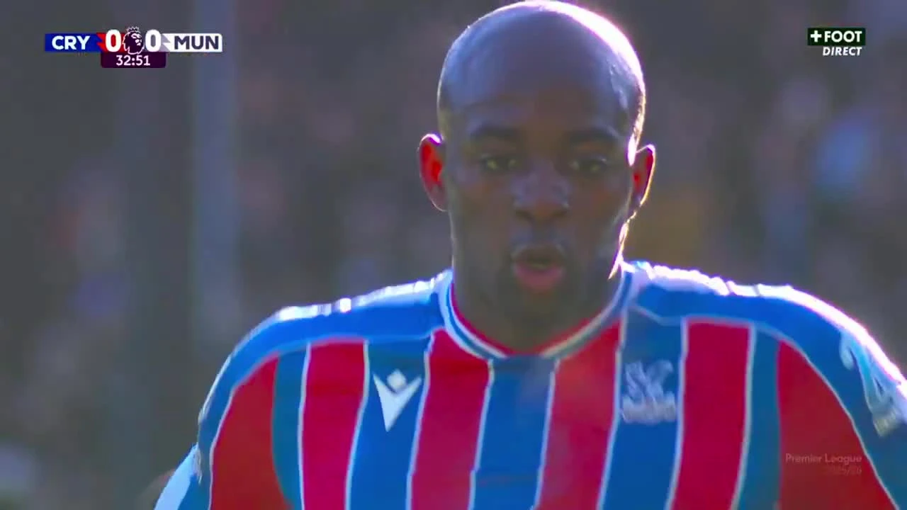 zaslepka skrotu video