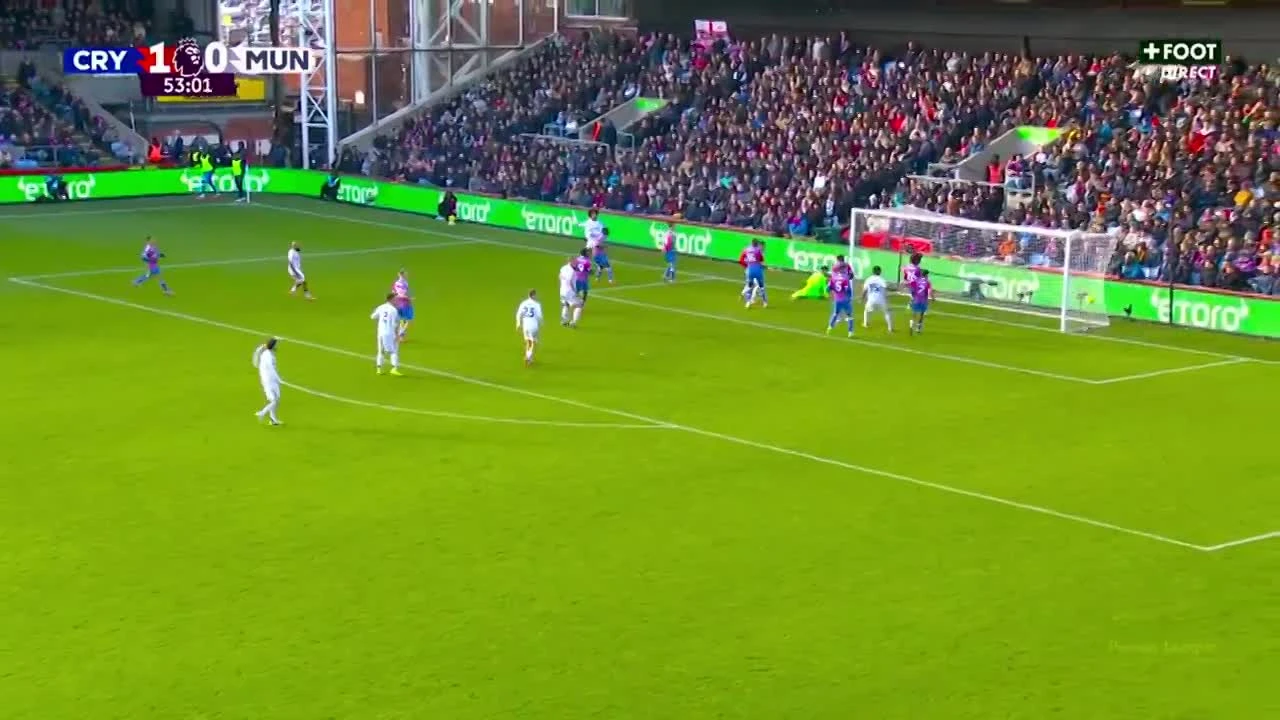 zaslepka skrotu video