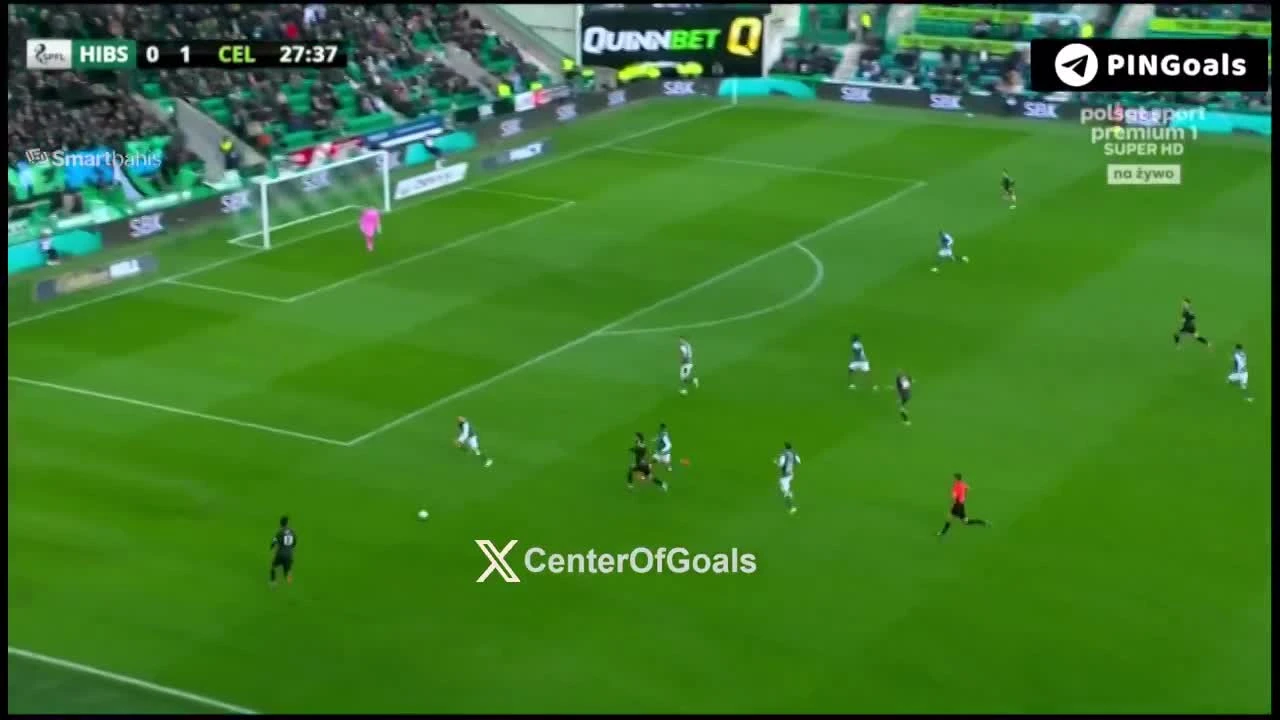 zaslepka skrotu video