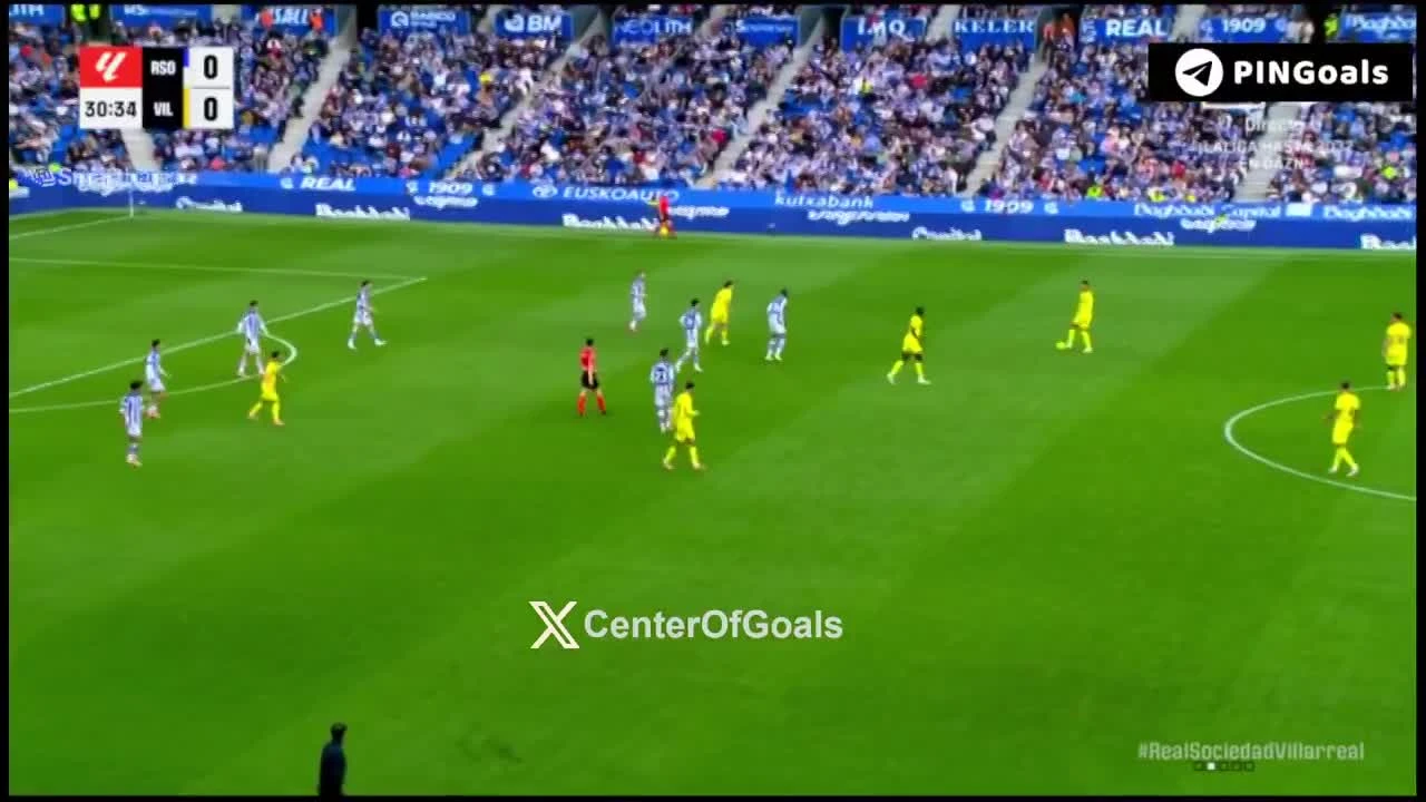 zaslepka skrotu video