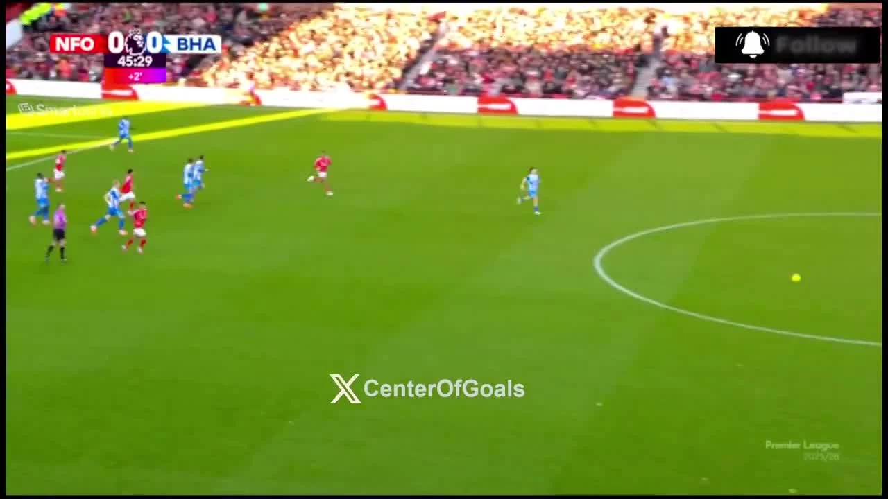 zaslepka skrotu video