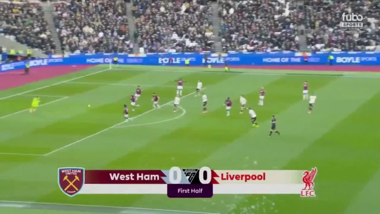 zaslepka skrotu video