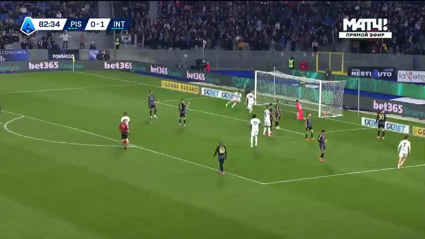 zaslepka skrotu video