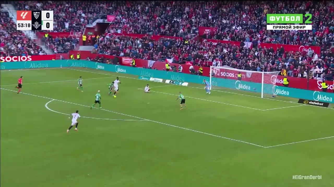 zaslepka skrotu video