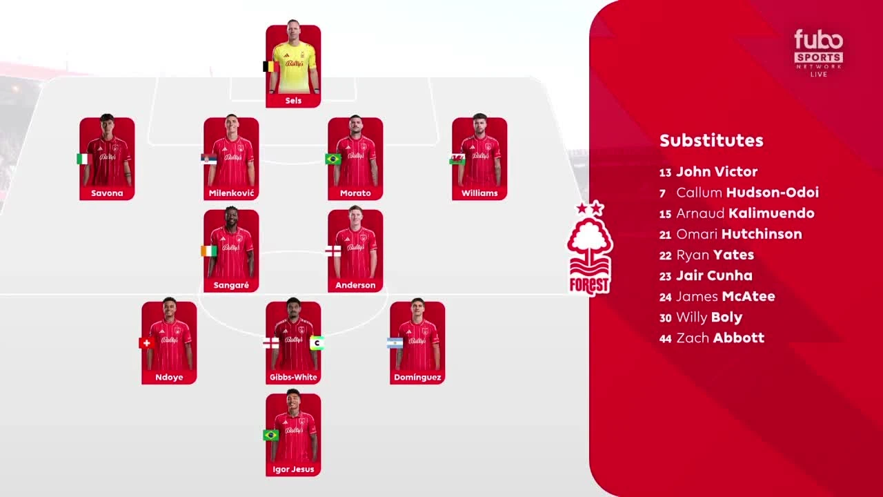 zaslepka skrotu video