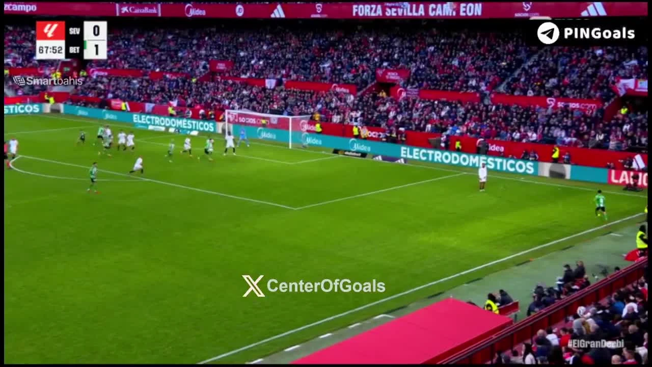 zaslepka skrotu video