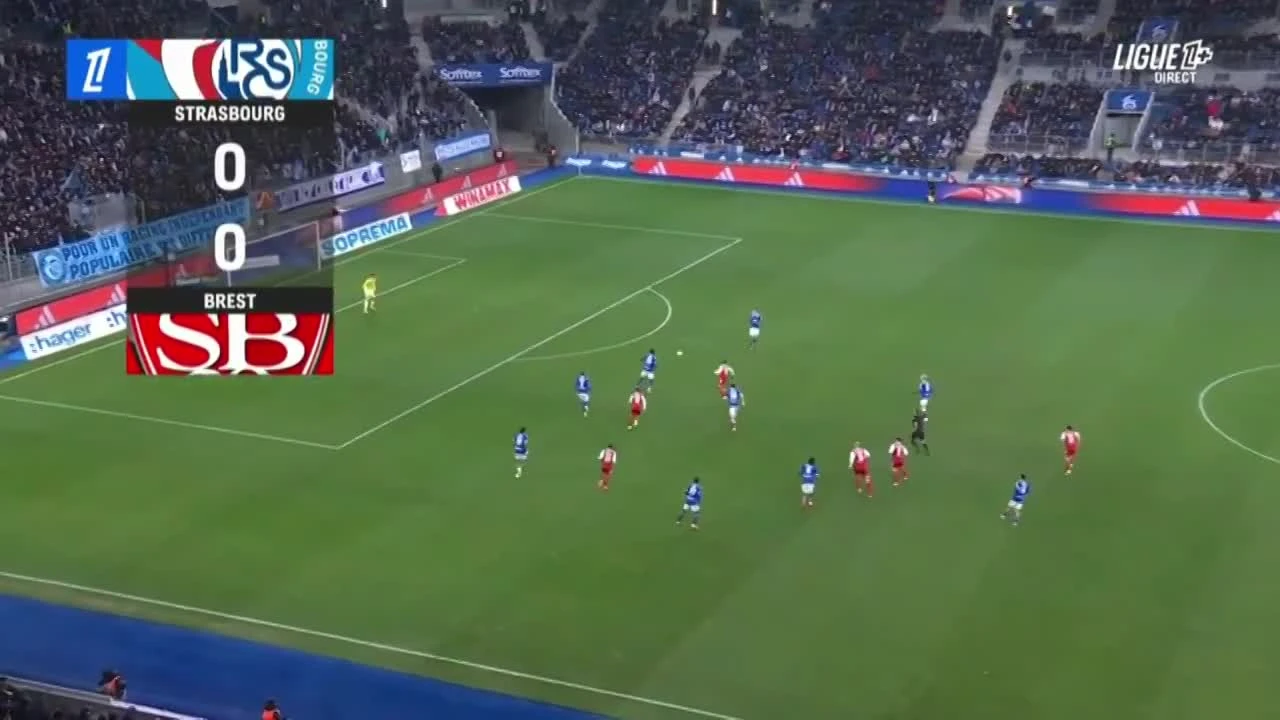 zaslepka skrotu video