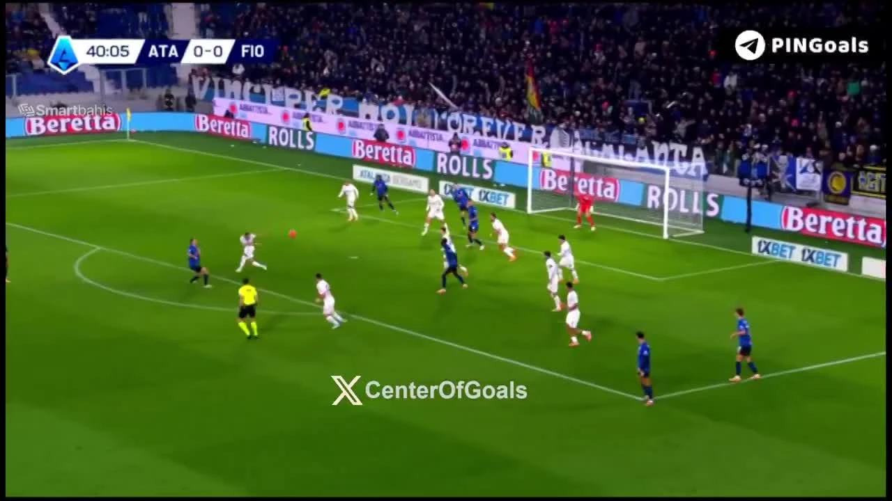 zaslepka skrotu video