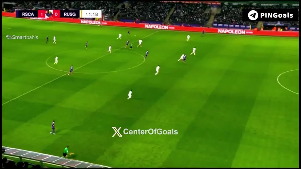 zaslepka skrotu video