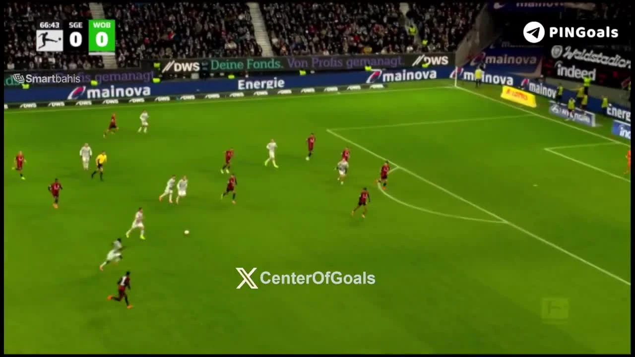 zaslepka skrotu video