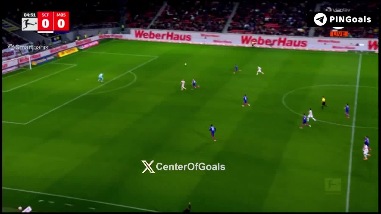 zaslepka skrotu video