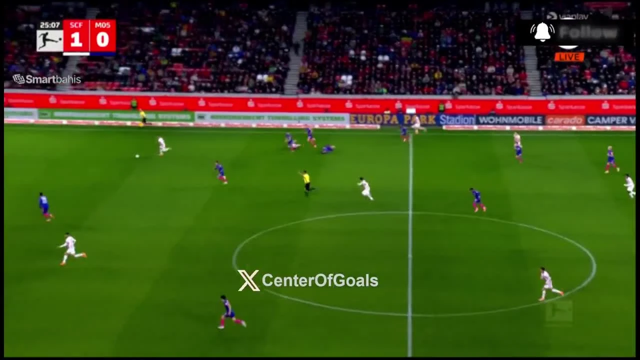 zaslepka skrotu video