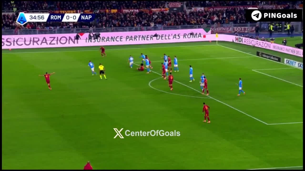 zaslepka skrotu video