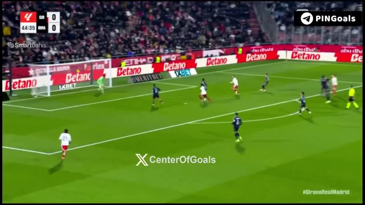 zaslepka skrotu video