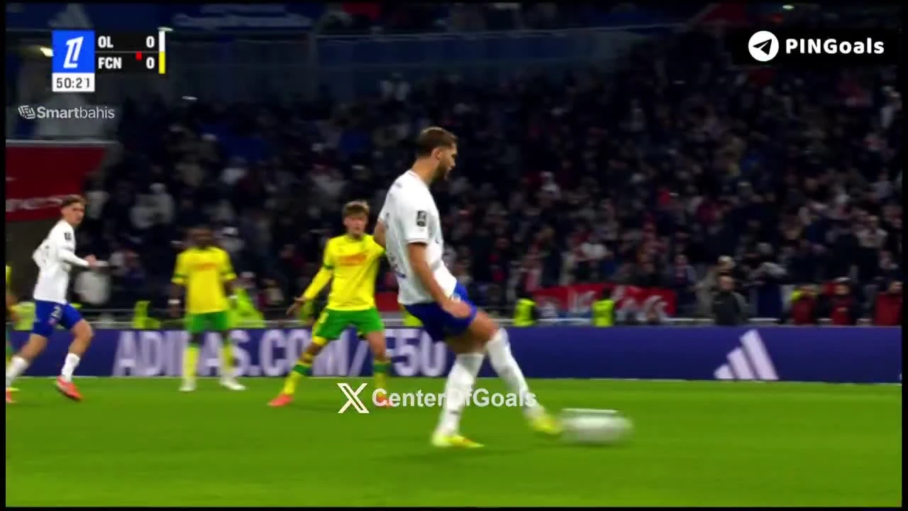 zaslepka skrotu video