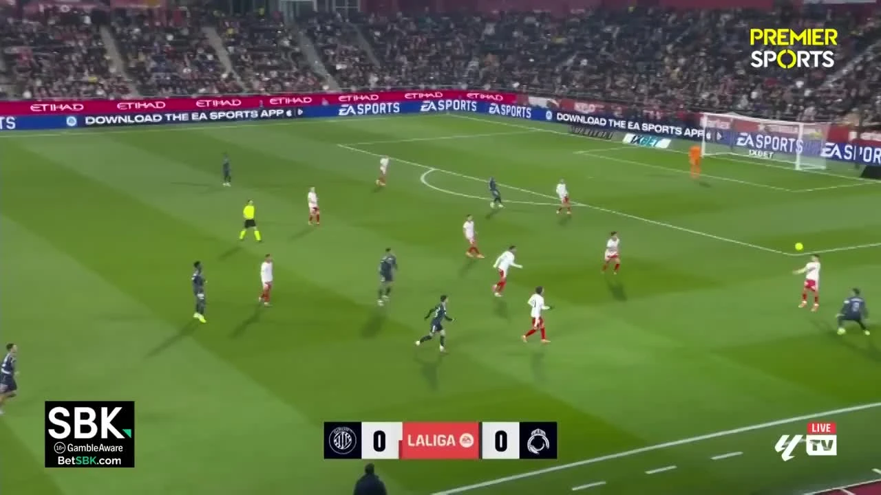 zaslepka skrotu video