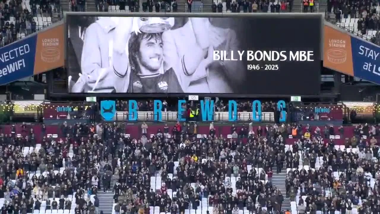 zaslepka skrotu video