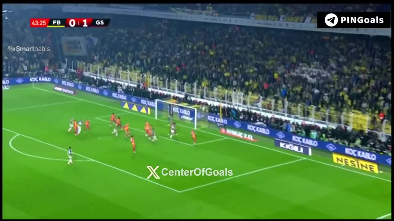 zaslepka skrotu video