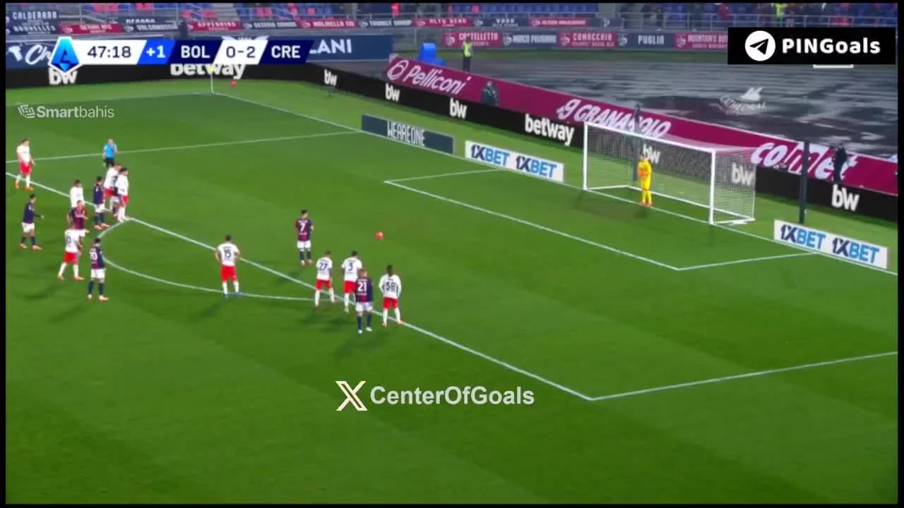 zaslepka skrotu video