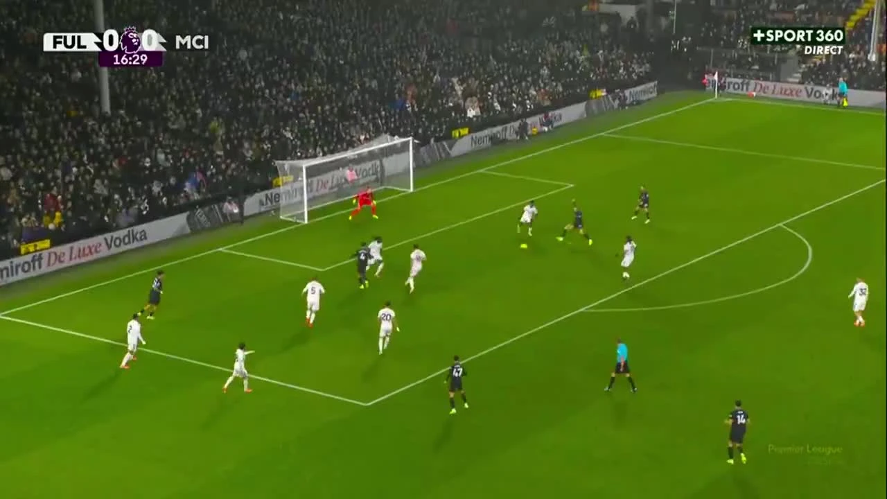 zaslepka skrotu video