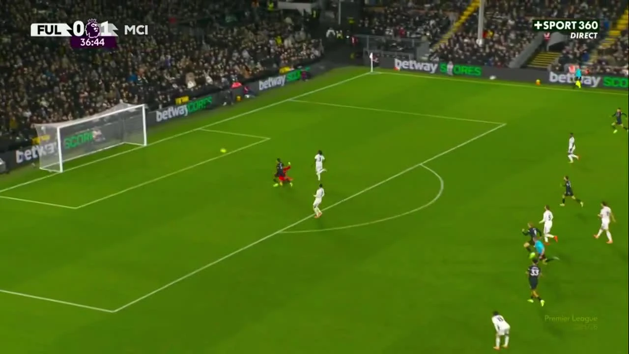 zaslepka skrotu video